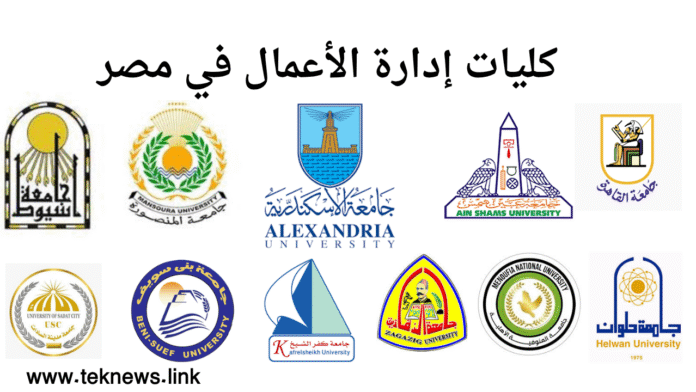 كليات إدارة الأعمال في مصر