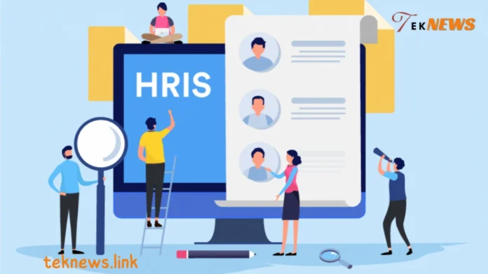 تكلفة تطبيق HRIS: ميزانية واقعية حسب حجم الشركة