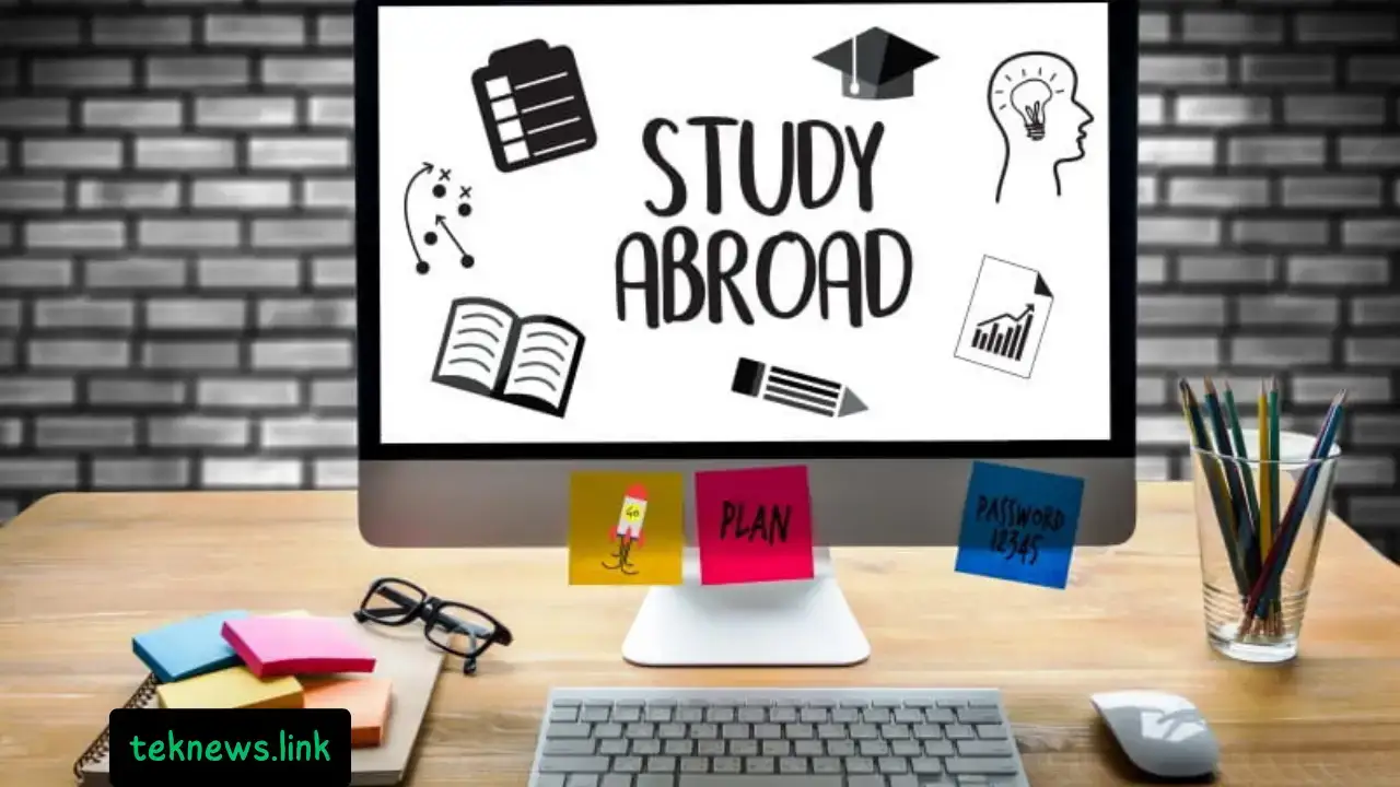 دراسة إدارة الأعمال في الخارج: المزايا والتحديات