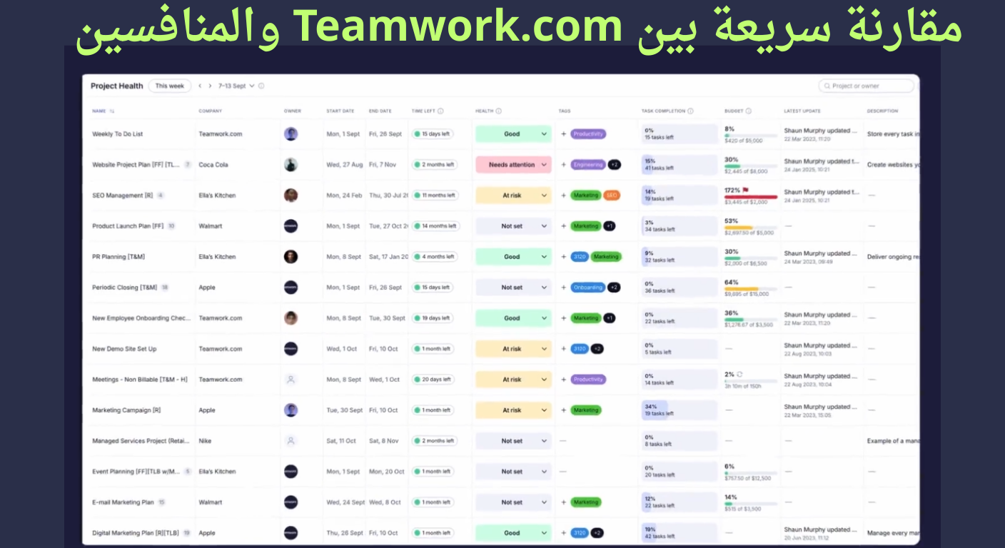 برنامج Teamwork لإدارة المشاريعواجهة Teamwork.com

لوحة تحكم Teamwork

إدارة المشاريع باستخدام Teamwork

إدارة مهام الفريق في Teamwork

تتبع الوقت في Teamwork.com

تقارير Teamwork لإدارة المشاريع

إدارة مشاريع العملاء Teamwork

مخططات جانت Teamwork

إدارة الموارد في Teamwork.com

الفوترة وإدارة الميزانيات في Teamwork

التعاون بين فرق العمل Teamwork

إدارة المشاريع للشركات الصغيرة Teamwork

إدارة المشاريع للوكالات الإبداعية Teamwork

برنامج إدارة المشاريع الاحترافي Teamwork

تطبيق Teamwork لإدارة المشاريع

تنظيم العمل الجماعي باستخدام Teamwork

تقارير الأداء في Teamwork.com

إدارة الوقت والإنتاجية Teamwork

أداة إدارة مشاريع العملاء Teamwork