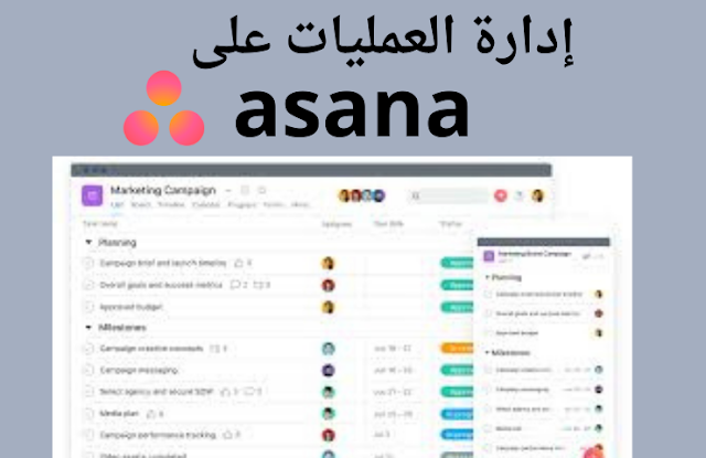 إدارة العمليات على Asana