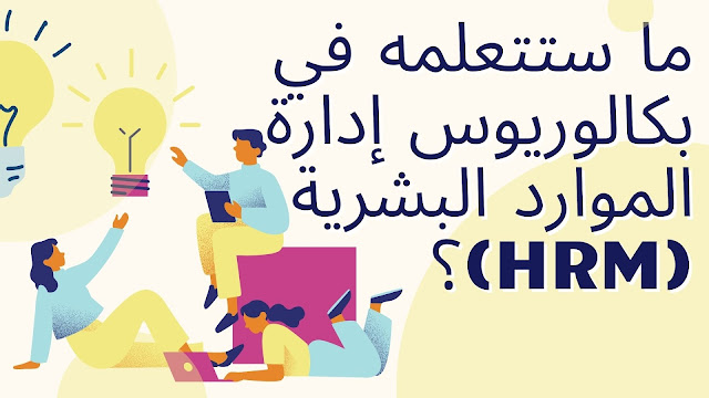 ما ستتعلمه في بكالوريوس إدارة الموارد البشرية (HRM)؟